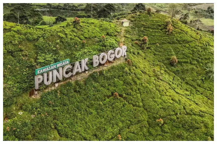 PUNCAK KABUPATIN BOGOR